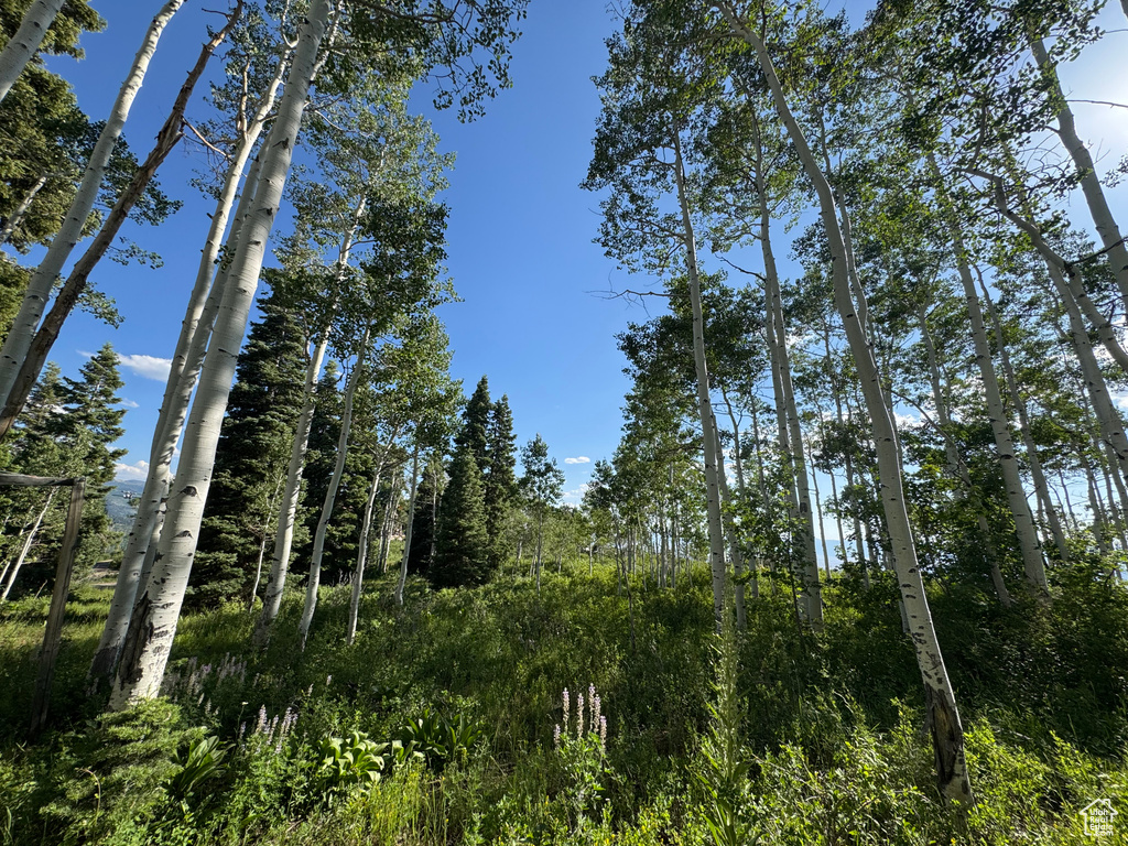 44 J CHOKECHERRY DR #J-44 Fairview, UT 84629