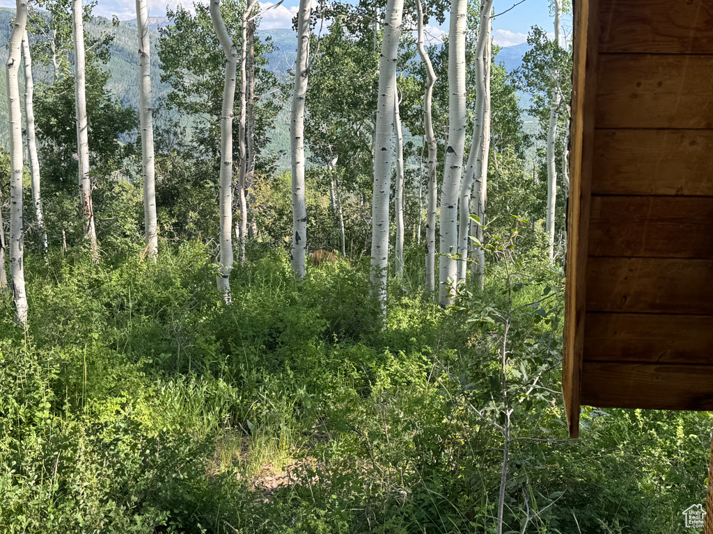 44 J CHOKECHERRY DR #J-44 Fairview, UT 84629