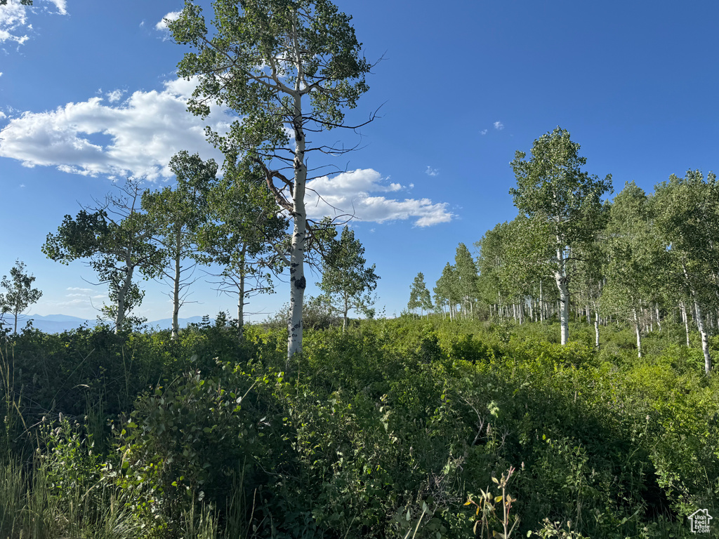 44 J CHOKECHERRY DR #J-44 Fairview, UT 84629