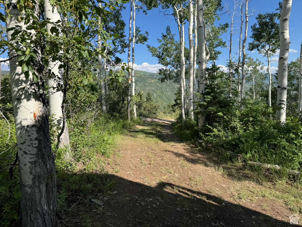 44 J CHOKECHERRY DR #J-44 Fairview, UT 84629