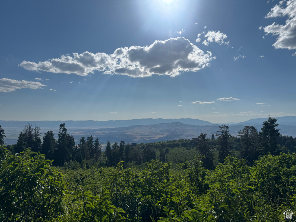 44 J CHOKECHERRY DR #J-44 Fairview, UT 84629