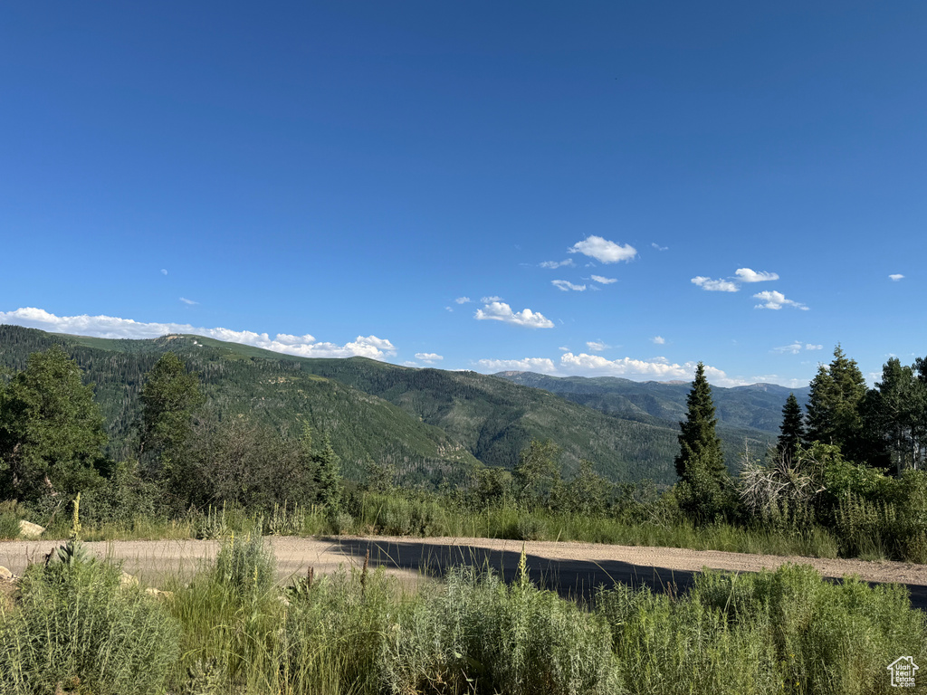 44 J CHOKECHERRY DR #J-44 Fairview, UT 84629