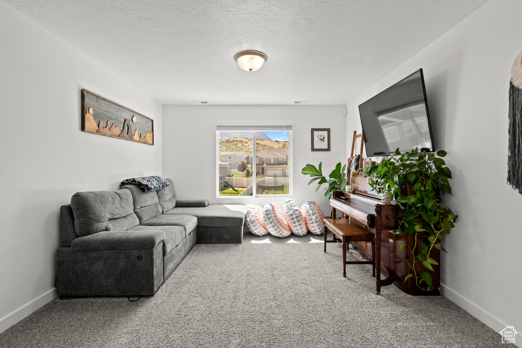 1017 S RED CLIFF DR Santaquin, UT 84655