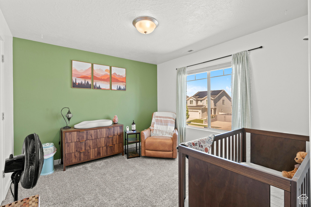 1017 S RED CLIFF DR Santaquin, UT 84655