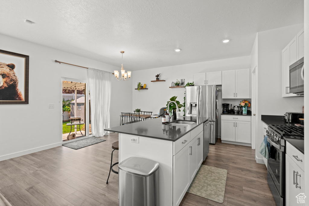 1017 S RED CLIFF DR Santaquin, UT 84655
