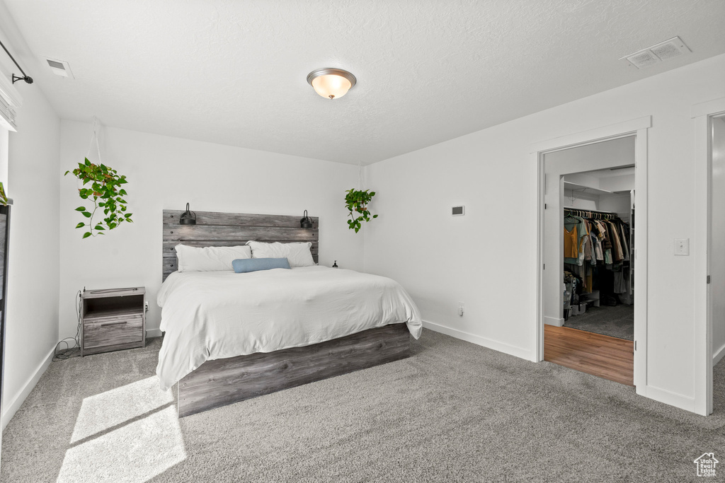 1017 S RED CLIFF DR Santaquin, UT 84655