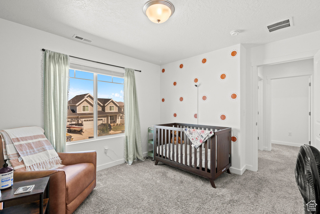1017 S RED CLIFF DR Santaquin, UT 84655