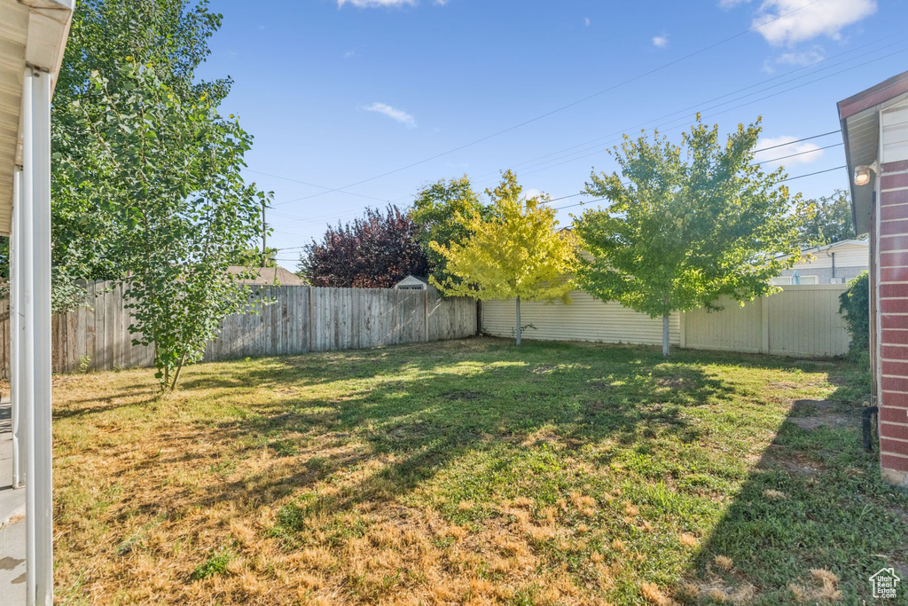 View of fenced backyard