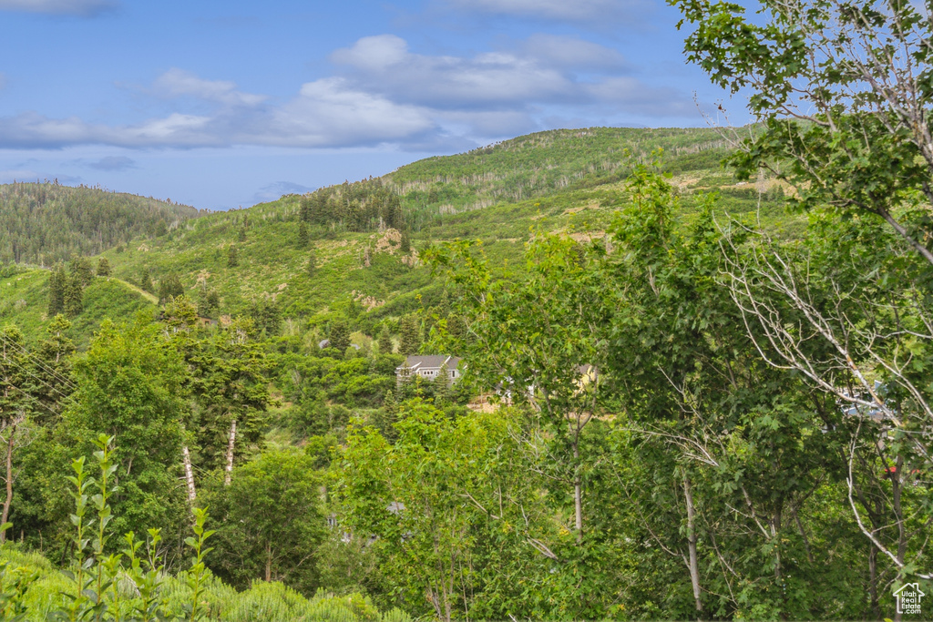 90  PROSPECT AVE Park City, UT 84060