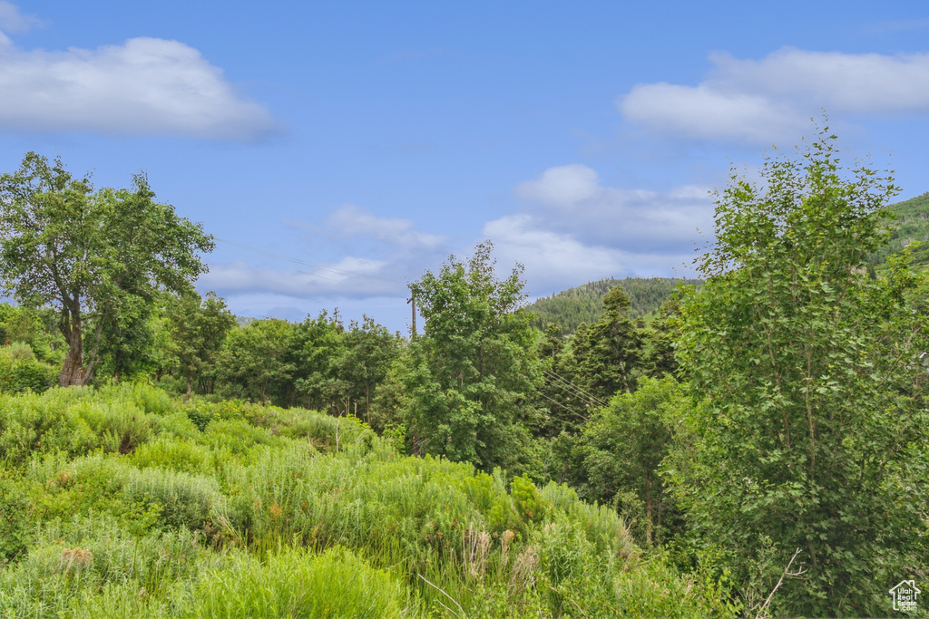 90  PROSPECT AVE Park City, UT 84060