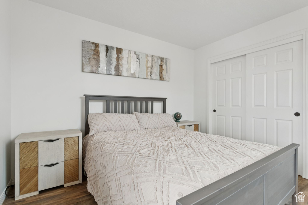 Bedroom with a closet and dark wood-type flooring