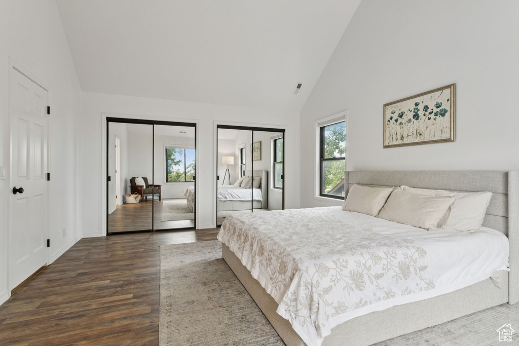 Bedroom featuring multiple closets, wood finished floors, and high vaulted ceiling