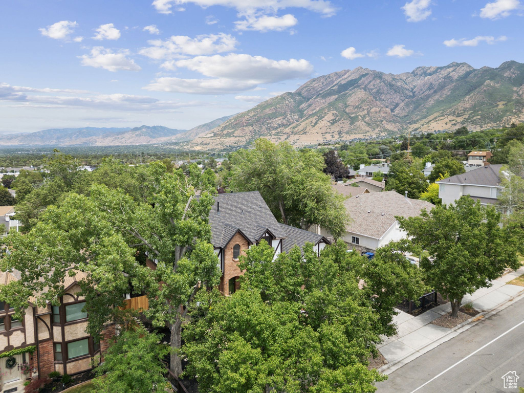 View of mountain background