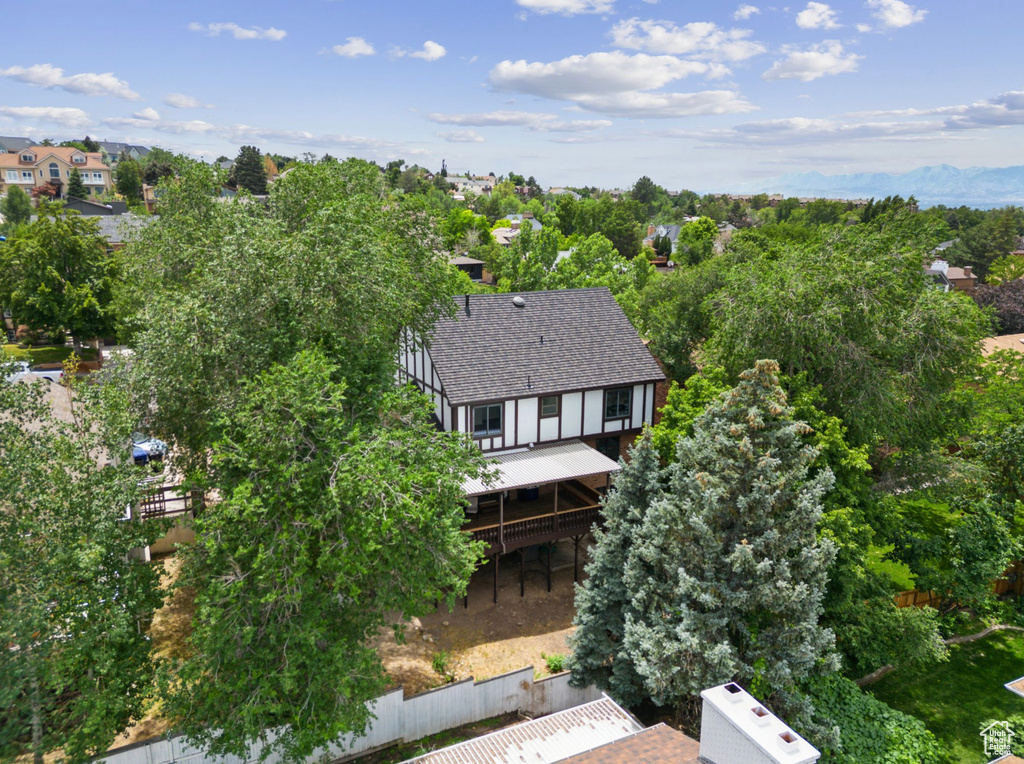 Bird\'s eye view