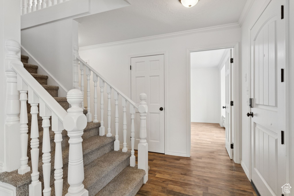 Staircase featuring wood finished floors and crown molding