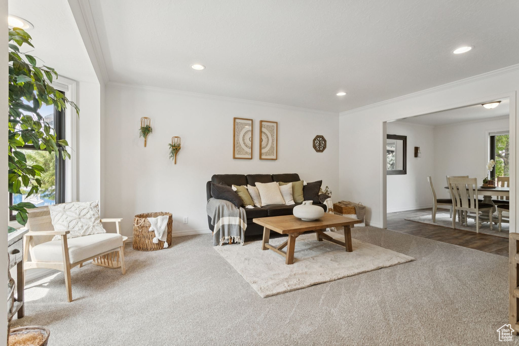 Living area with ornamental molding, carpet, and recessed lighting