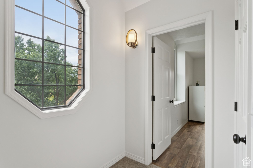 Hall featuring baseboards and dark wood-type flooring