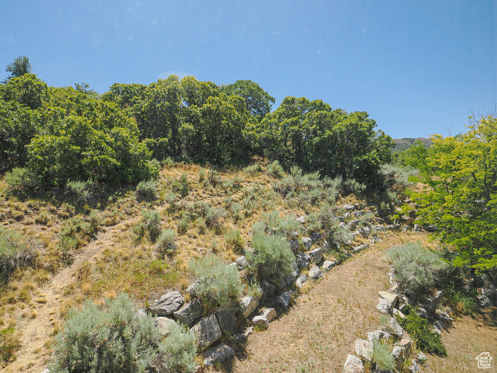 View of undeveloped land