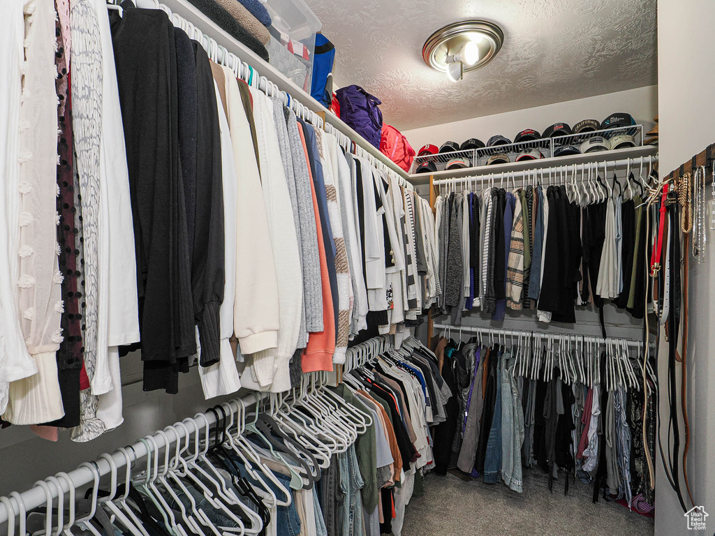 View of walk in closet