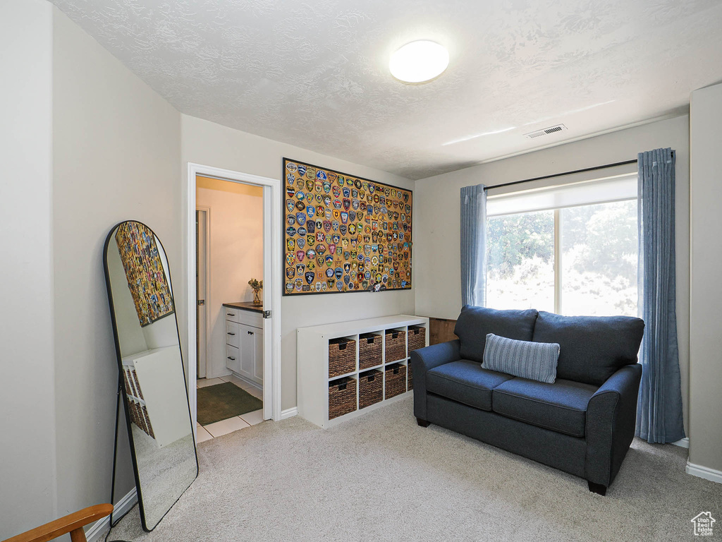 Living area featuring carpet and a textured ceiling