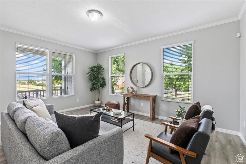 Living room with healthy amount of natural light, ornamental molding, and light wood-style flooring