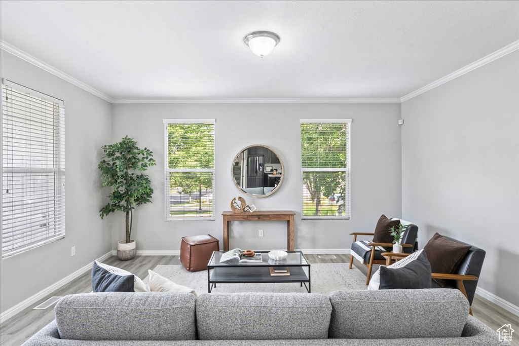 Living room with ornamental molding, healthy amount of natural light, and wood finished floors