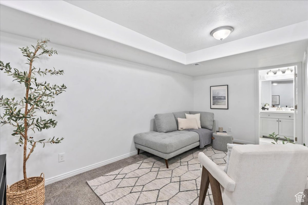 Living area with light carpet and baseboards