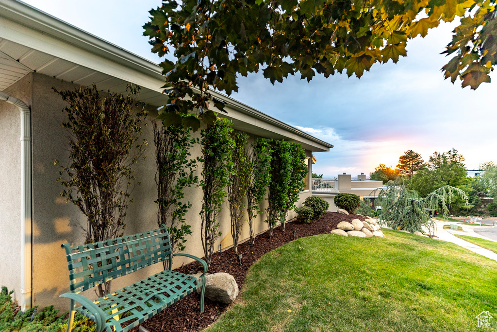 Yard at dusk with a yard