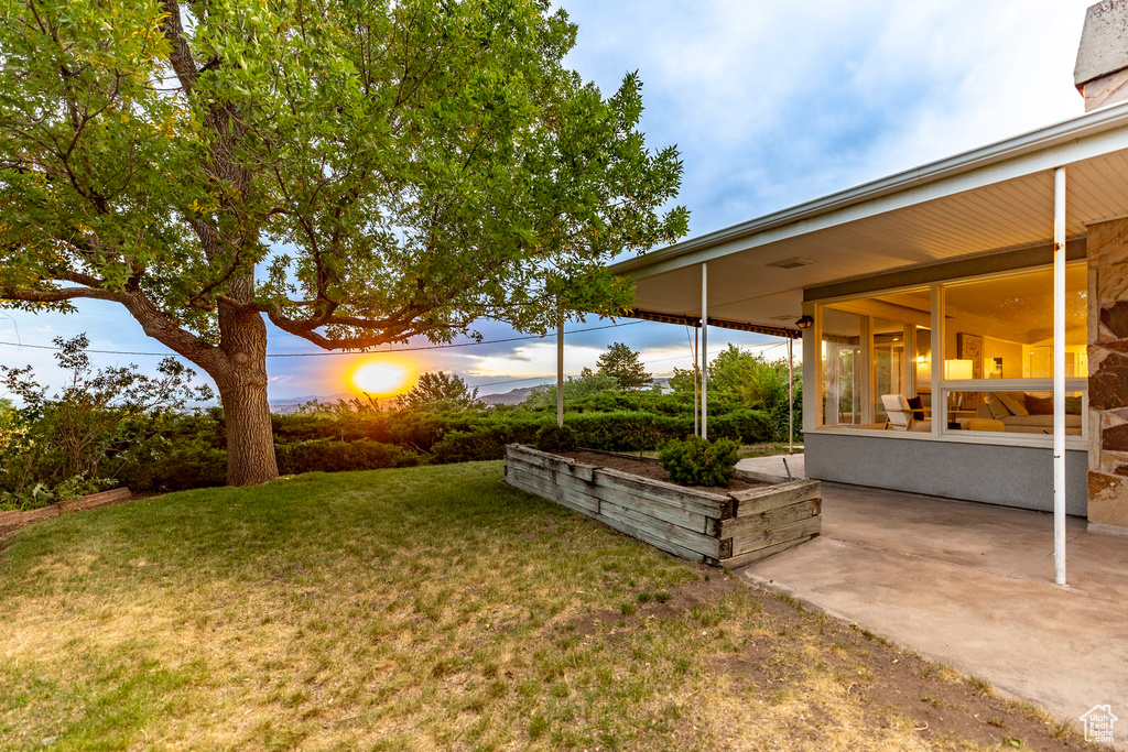 View of grassy yard with a patio area and a sunroom