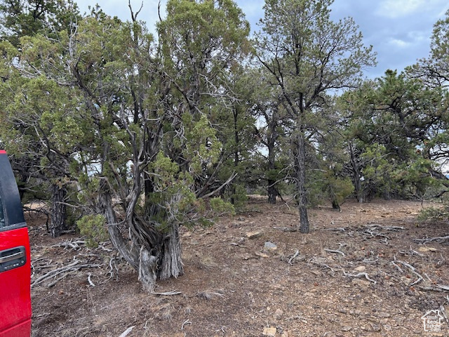  Fruitland, UT 84027