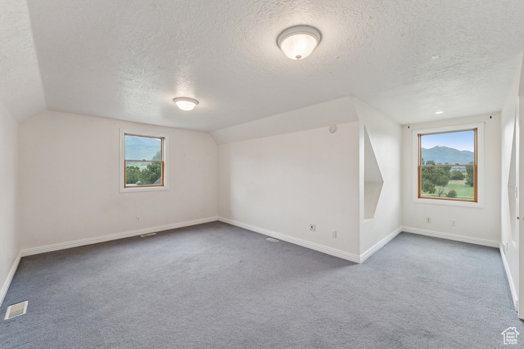 Additional living space featuring a textured ceiling, lofted ceiling, and carpet