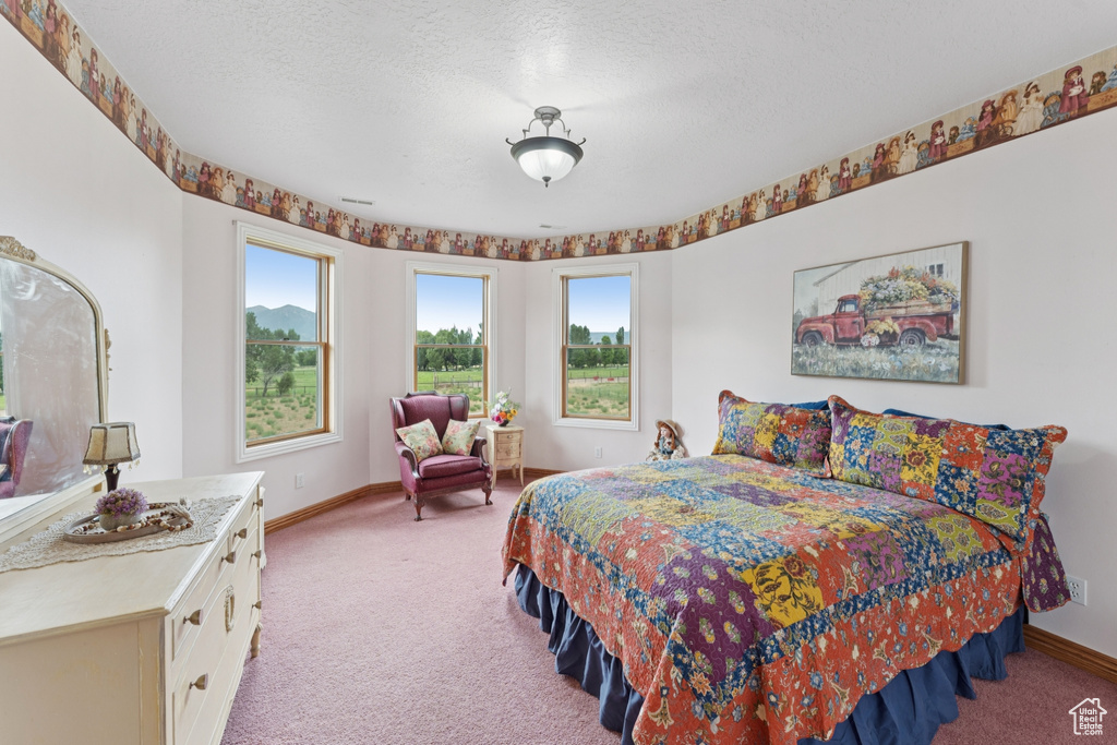 Bedroom with light colored carpet and a textured ceiling