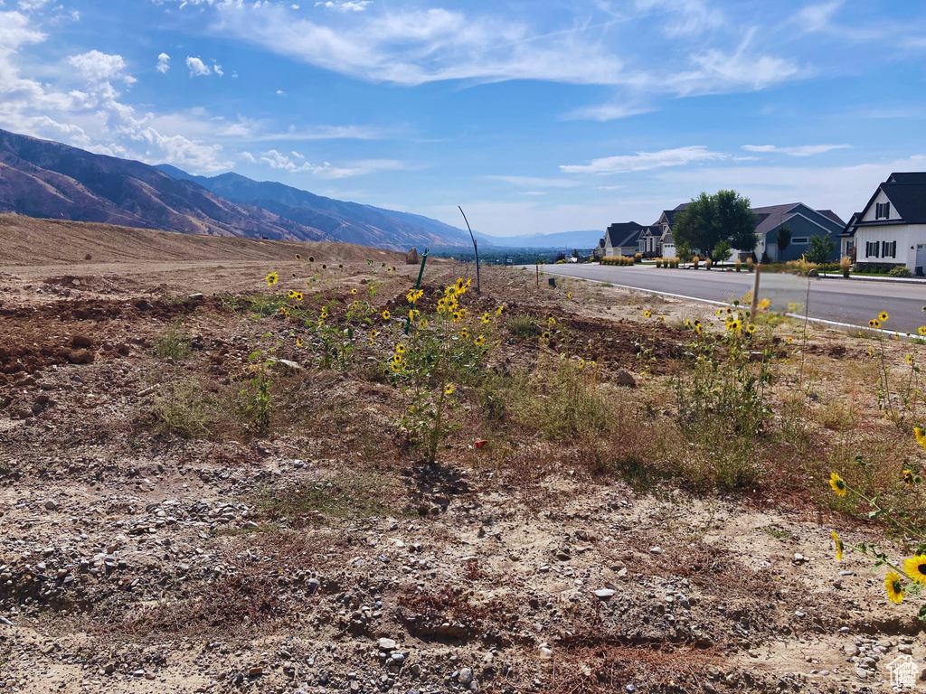 View of mountain background