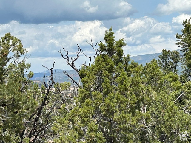  Fruitland, UT 84027