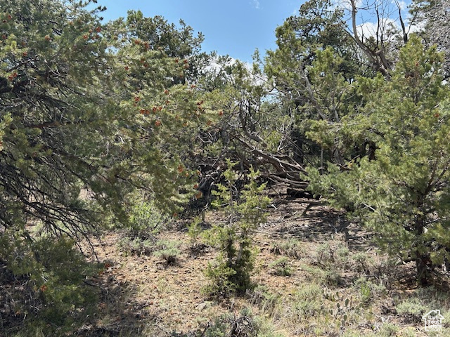 Fruitland, UT 84027