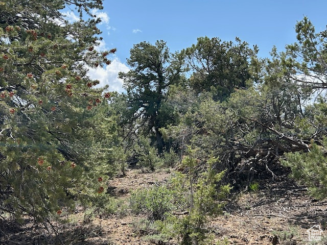  Fruitland, UT 84027