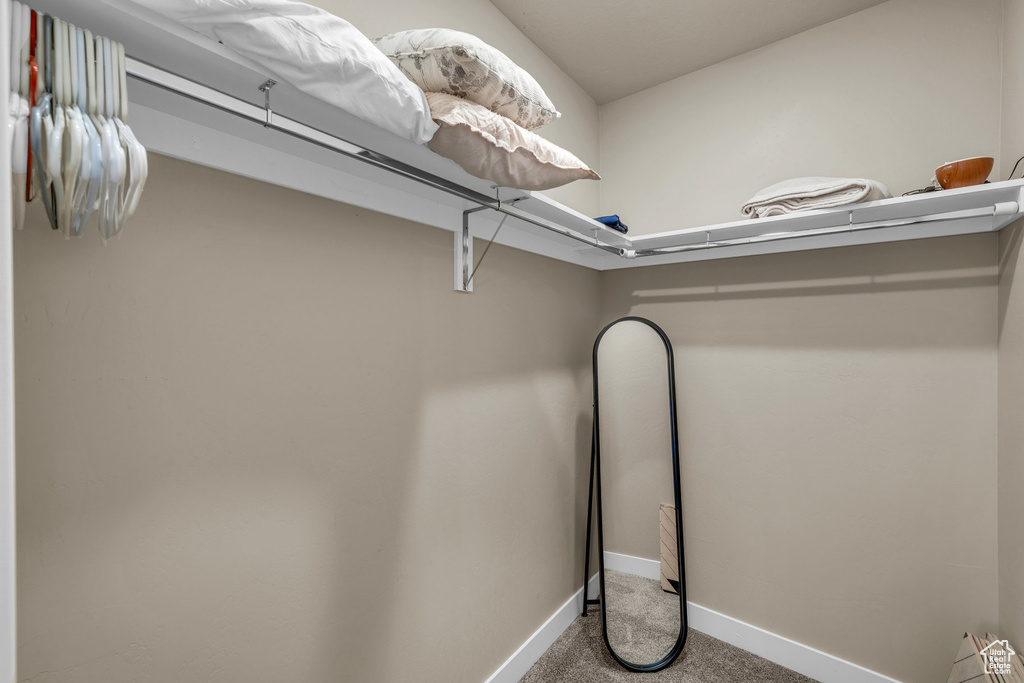 Walk in closet featuring carpet