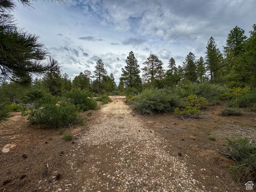  Orderville, UT 84758