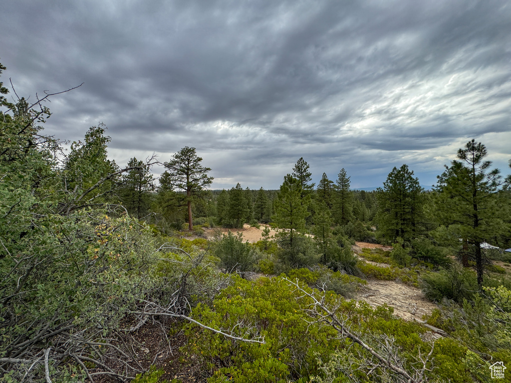  Orderville, UT 84758