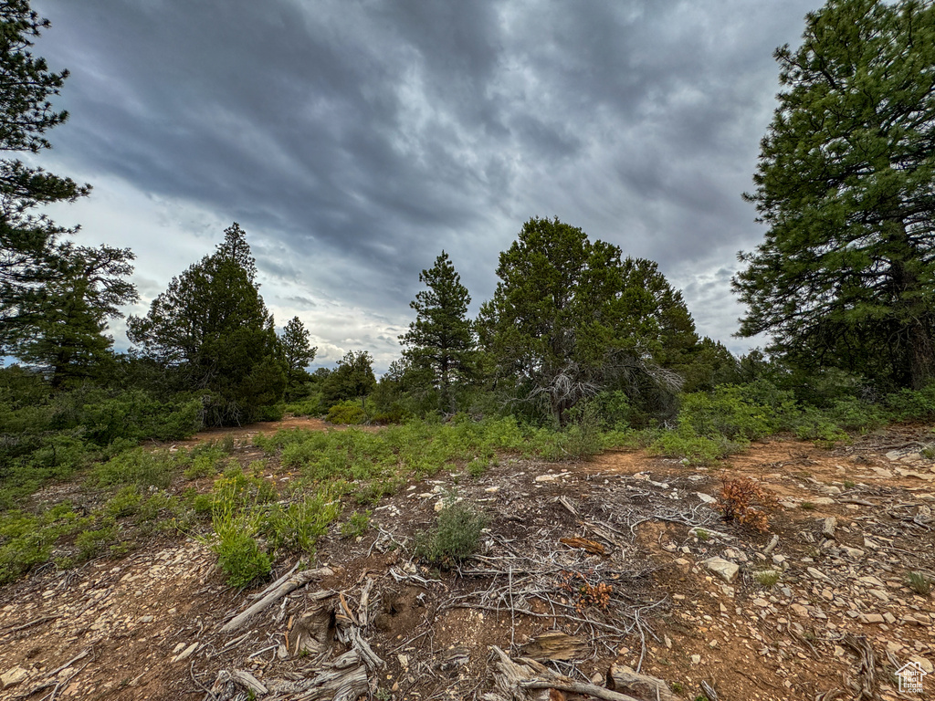  Orderville, UT 84758