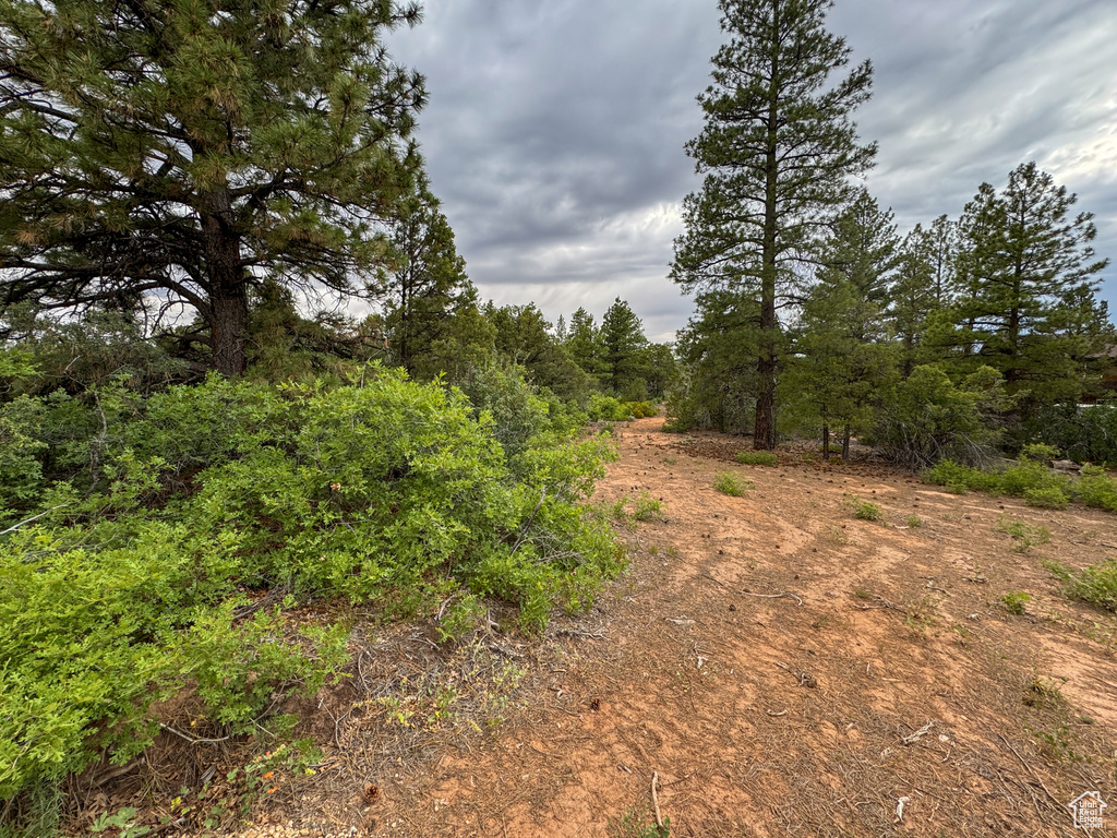  Orderville, UT 84758