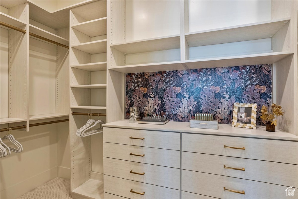 View of walk in closet