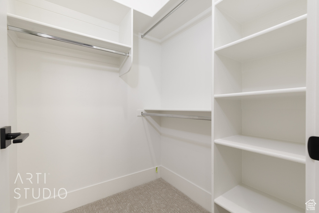 Spacious closet with carpet