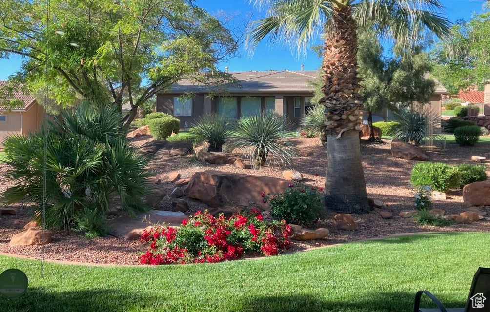 View of front of house with a front lawn