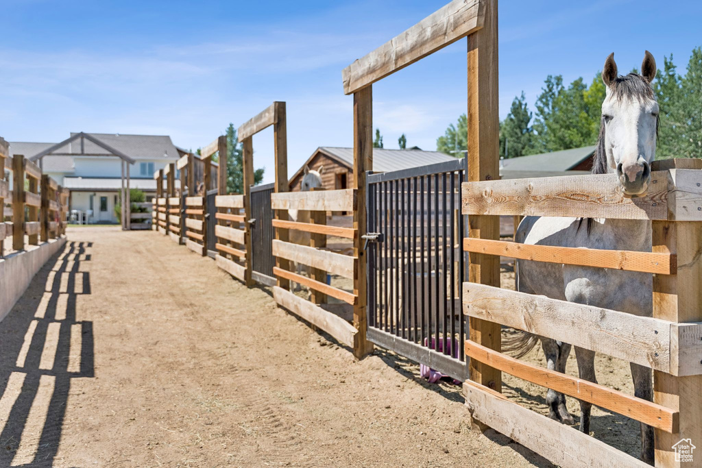 Stable with a residential view
