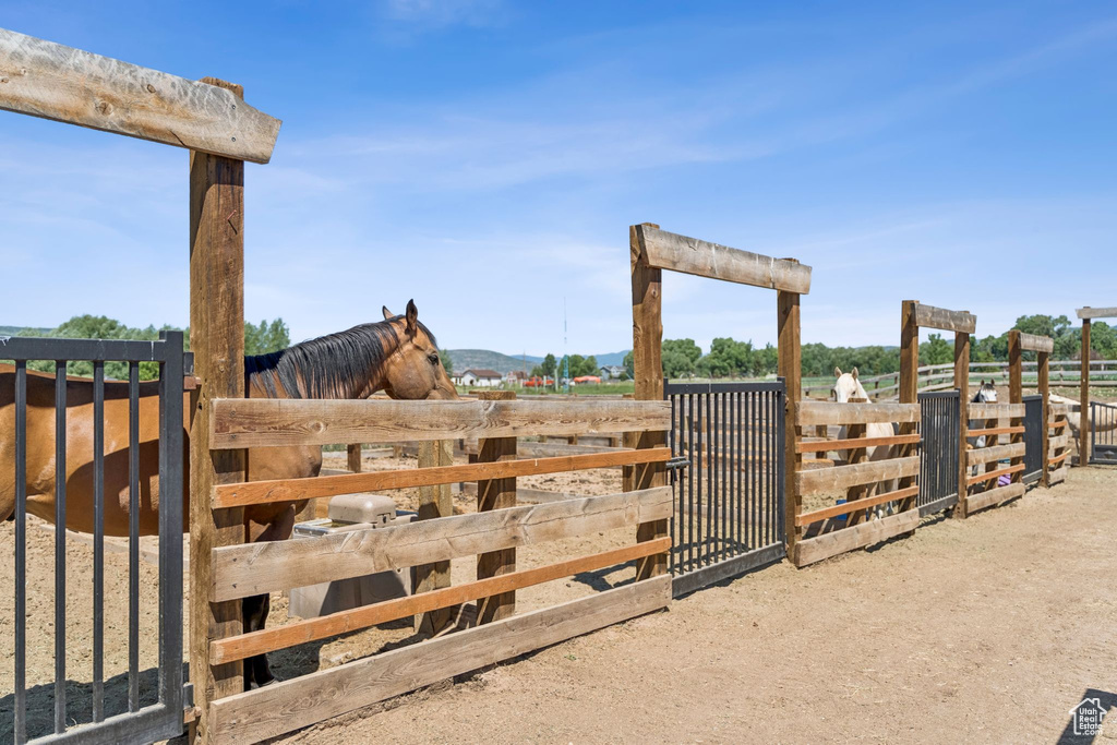 View of horse barn