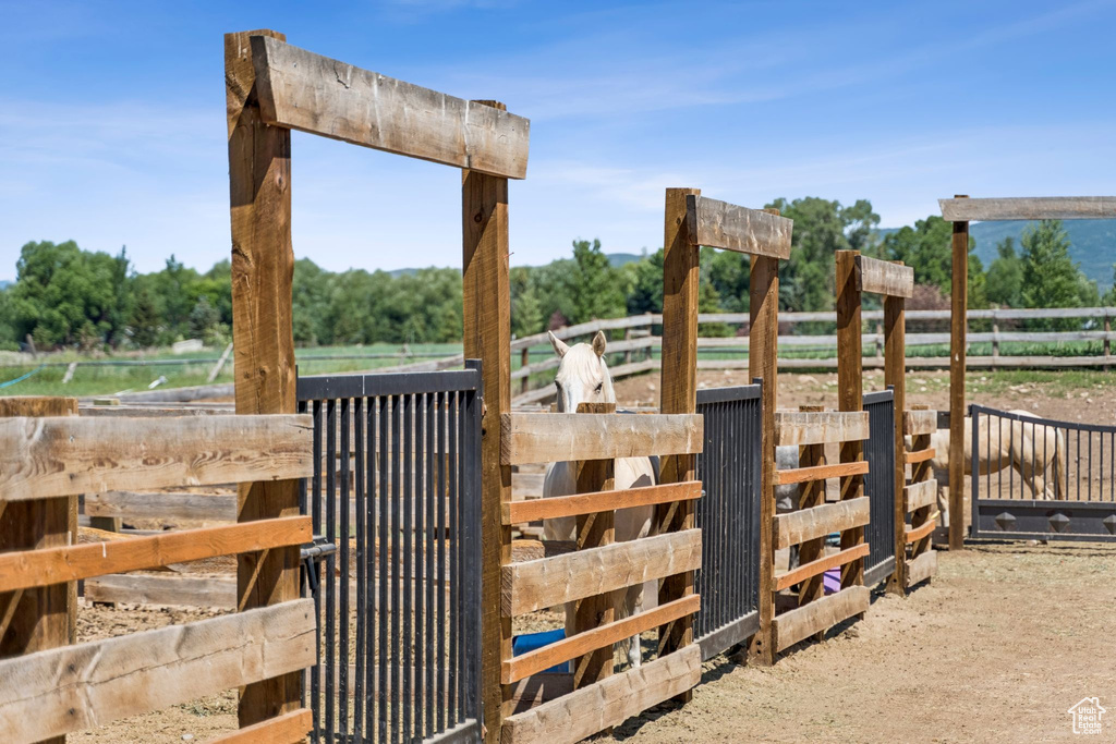 View of horse barn