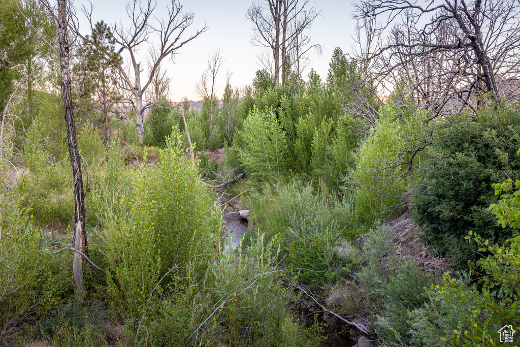 View of nature
