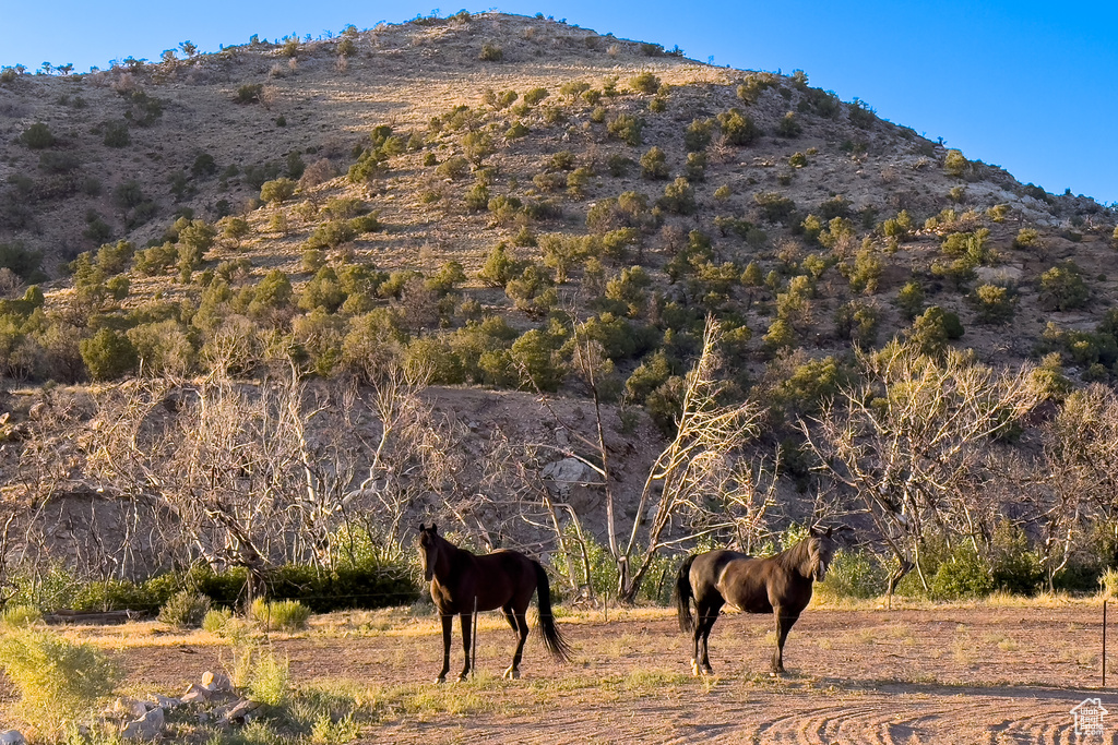70 DESERT SOLITAIRE RD Moab, UT 84532