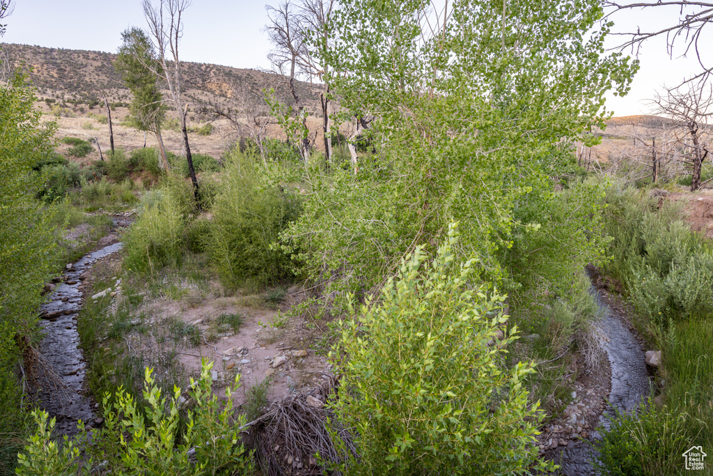 View of local wilderness featuring a mountainous background